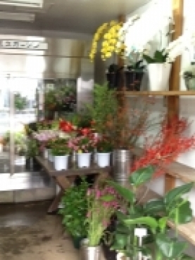 「花久ガーデン」　（埼玉県草加市）の花屋店舗写真4